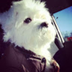 Meet your Posher, Patrick